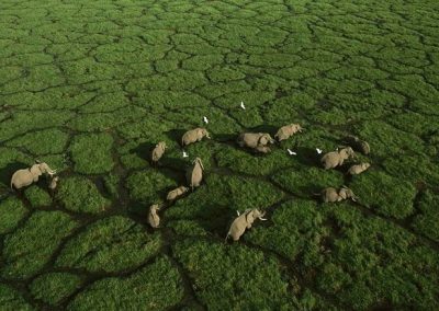 Kenya privát szafari