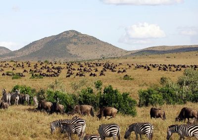 Kenya privát szafari