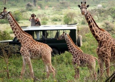 Kenya privát szafari