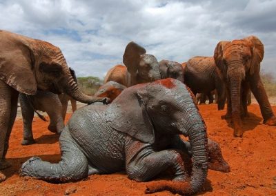 Kenya privát szafari