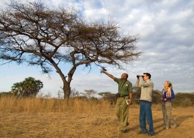 Kenya privát szafari