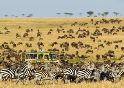 Tanzánia privát szafari